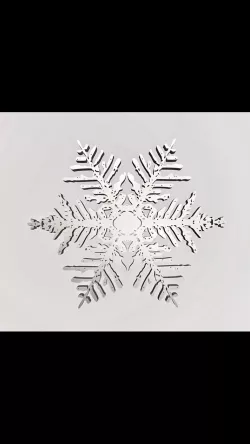 Snowflake
