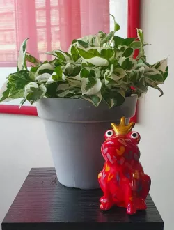 Statue frog king