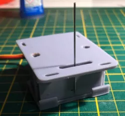 Switch motor