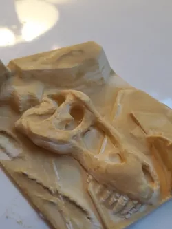 T-rex Excavation site