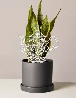 Teapot Trellis