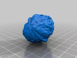 Walnut（scanned by Revopoint MINI）