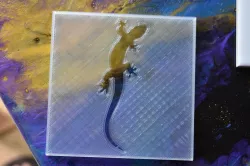 Airbrush Stencil Lizard