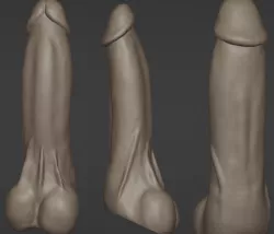 Anatomically Correct Realistic Penis Dildo Cock
