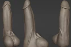Anatomically Correct Realistic Penis Dildo Cock