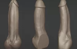 Anatomically Correct Realistic Penis Dildo Cock
