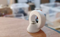 anchor ring for fixing