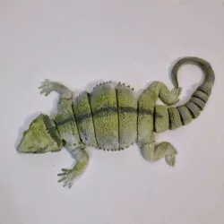 Articulated print in place dragon gecko