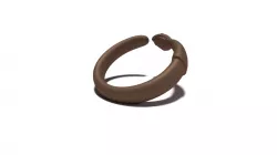 Artist ring: Paint Brush