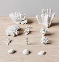 Basing Details Pack 1 - Corals