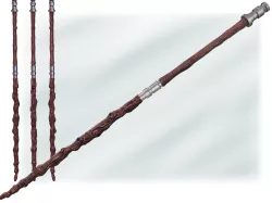 Chirrut Imwe's Staff