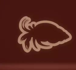 cookie cutter hermit crab