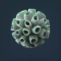 CORAL REEF