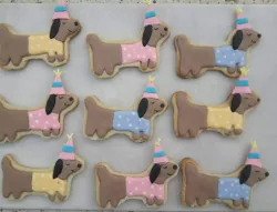 cutting dachshund