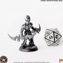 Elf Demon Hunter Attack