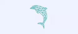 Geometric dolphin