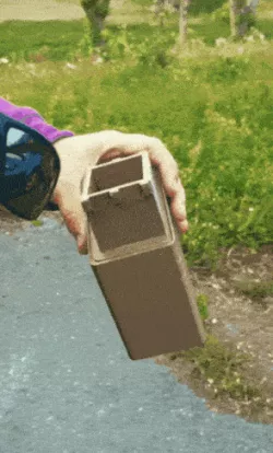 glasses case