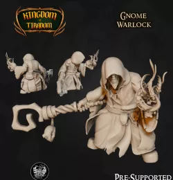 Gnome Warlock