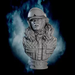 Han Solo Bust