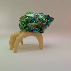 Hermit Crab Fingers