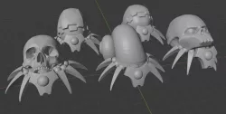 Hermit Scarabs