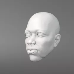 Jimmy Hendrix, 3D model of head