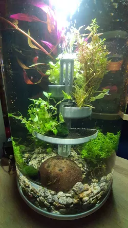 Modularized terrace system for biOrb fish tank