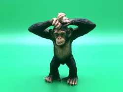 Monkey Chimp