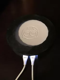 Owlet Light Cover