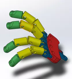 palm of the hand