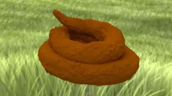 Poop