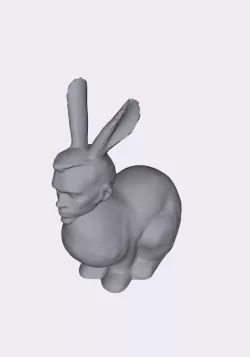 Rabbit