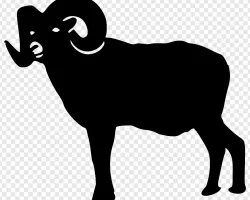 Ram Yarn Bobbin