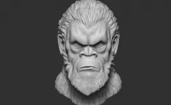 Sasquatch BigFoot
