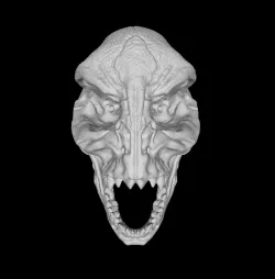 Saurian Skull