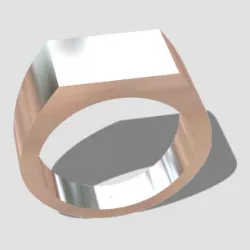 Seal type ring size 17