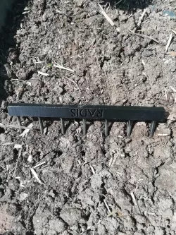Sowing radish V2