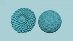 Sunflower Kernel - 02 Options - Molding Arrangement EVA Craft