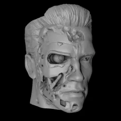 TERMINATOR T800 matte