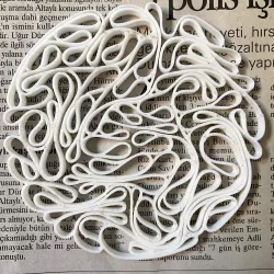 thallus coaster