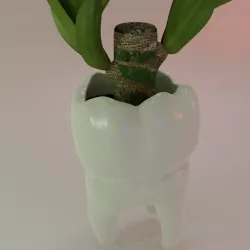 Tooth Pot