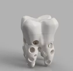 Toothbrush holder