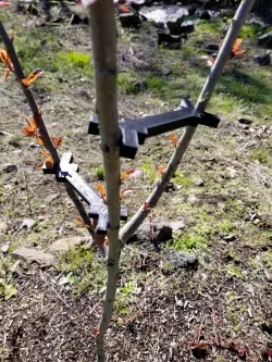 Tree Branch Spreader