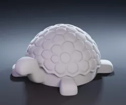 Turtle