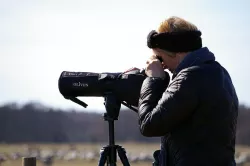 Watcher