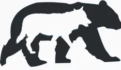Wolf Bear wall art