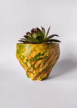 algaepots