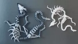 Articulated dragon skeleton