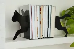 Bookend Cat