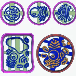 Cell cookie cutter Human / Organelles and Plant